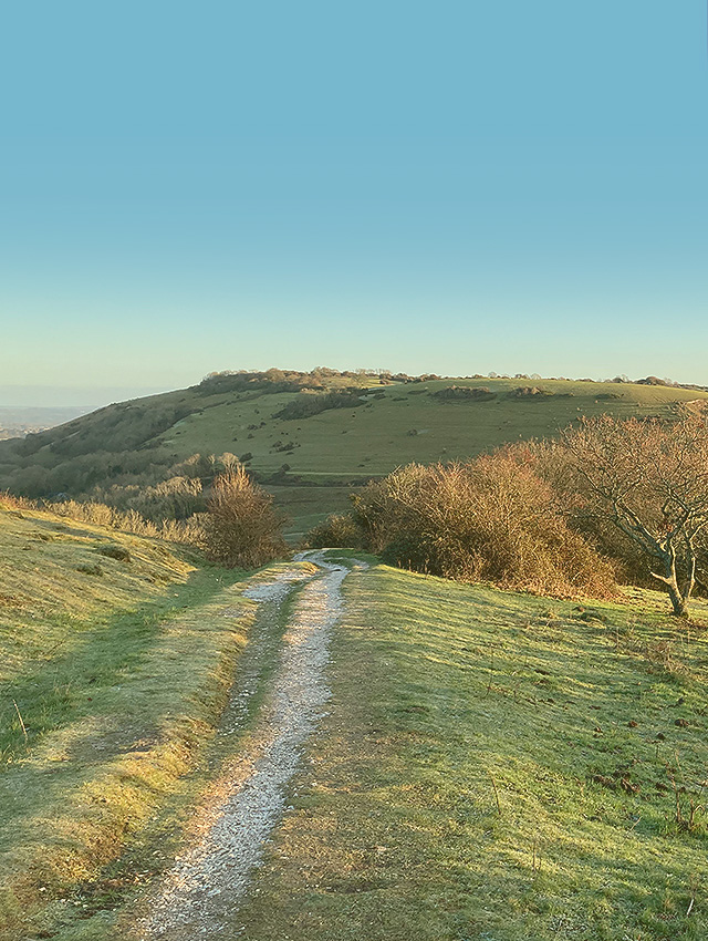 Photo Nature Showing Trees Hills and Path